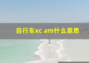 自行车xc am什么意思